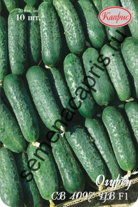Огурец СВ 4097  F1 Каприс 20*10 шт.