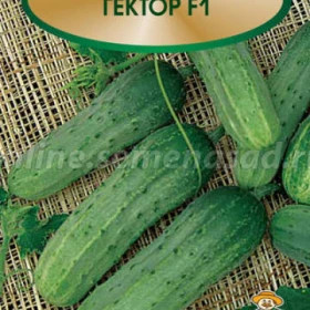 Гектор 10шт,Ц(Поиск)