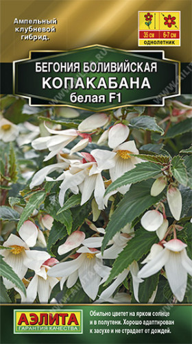 Копакабана боливийская F1 белая Ц(А)