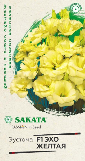 Эхо желтая Ц(Г)