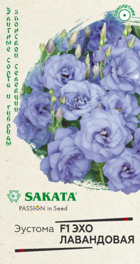 Эхо лавандовая Ц(Г)