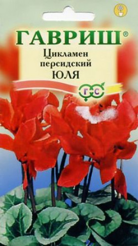 Юля 3 шт Ц(Г)