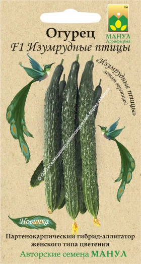 Изумрудные птицы Манул