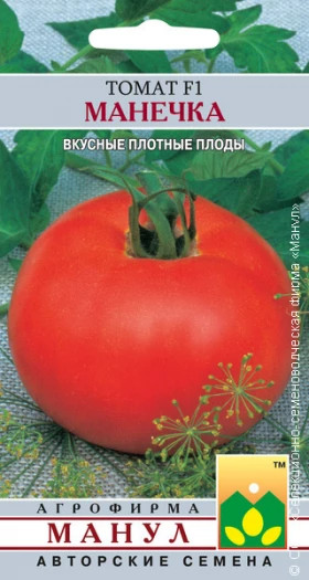 Манечка Манул