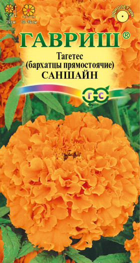 Саншайн Ц(Г)