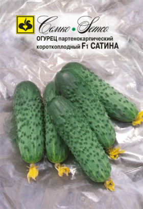 Сатина (Семко)