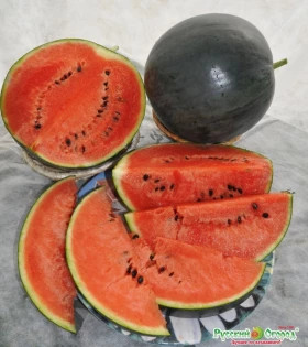 Сахарный малыш 200% Ц(Н)