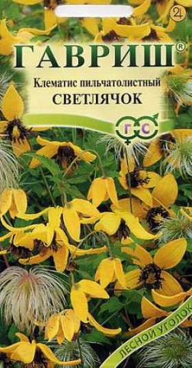 Светлячок Ц(Г) (17435                    )