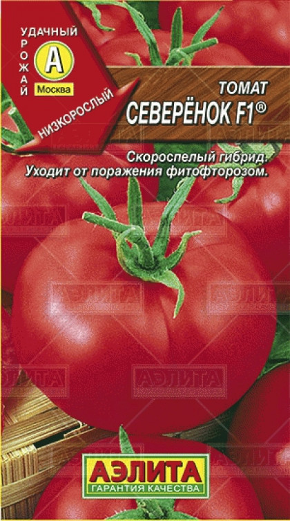 Северенок Ц(А)