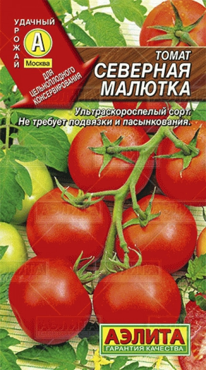 Северная Малютка Ц(А)