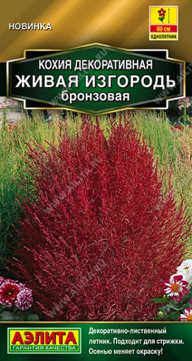 Живая изгородь бронзовая Ц(А)