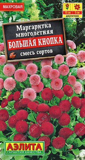 Большая кнопка Ц(А)