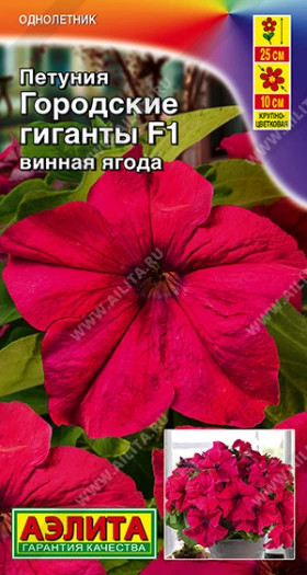 Городские гиганты F1 винная ягода Ц(А)