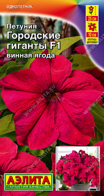 Городские гиганты F1 винная ягода Ц(А)