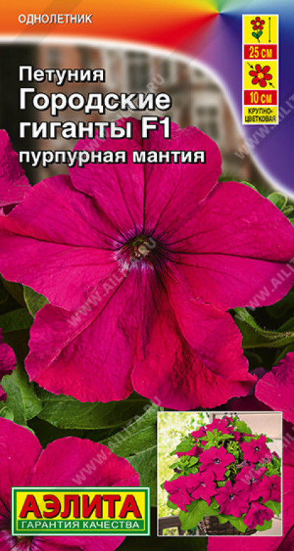 Городские гиганты F1 пурпурная мантия Ц(А)