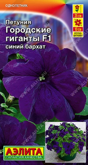 Городские гиганты F1 синий бархат Ц(А)