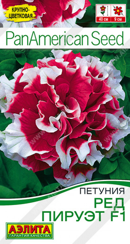 Ред пируэт махровая Ц(А)