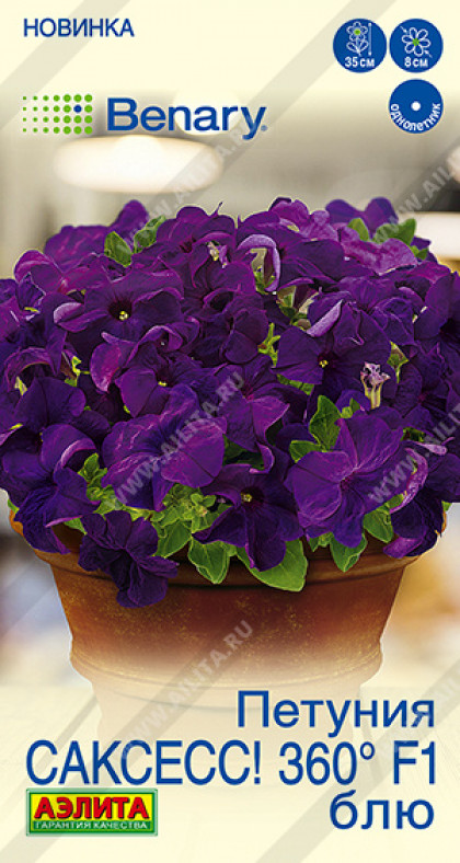 САКСЕСС Блю Ц(А)