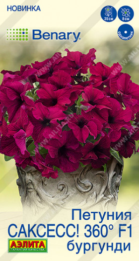 САКСЕСС Бургунди Ц(А)