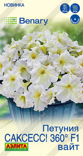 САКСЕСС Вайт Ц(А)