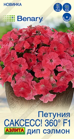 САКСЕСС Дип Сэлмон Ц(А)