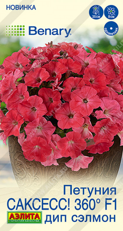 САКСЕСС Дип Сэлмон Ц(А)