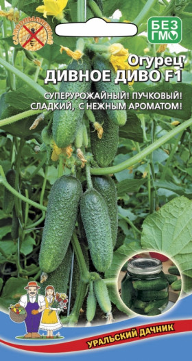 Дивное диво Ц(УД)