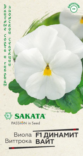 Динамит Вайт Ц(Г)