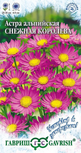 Снежная королева Ц(Г)(альпийская многолетняя)астра