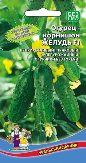 Желудь корнишон Ц(УД)