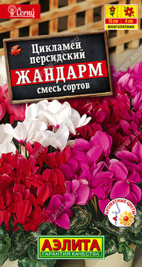 Жандарм Ц(А)