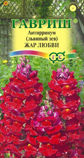 Жар любви Ц(Г)