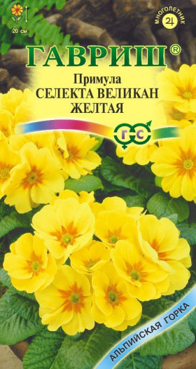 Желтый великан Ц(Г)