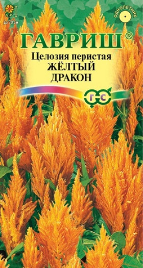 Желтый дракон Ц(Г)