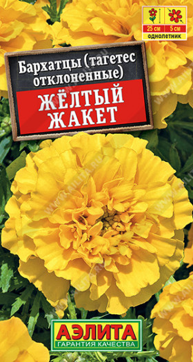 Желтый Жакет Ц(А)