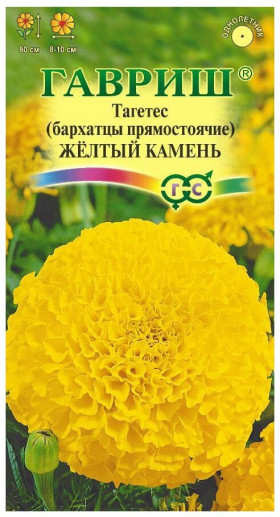 Желтый камень Ц(Г)