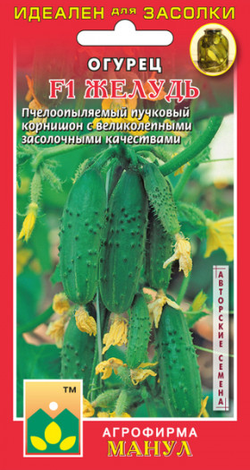 Желудь Манул