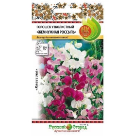 Жемчужная россыпь многолетний Ц(Н)