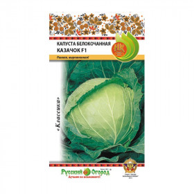 Казачок Ц(Н)