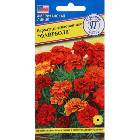 Файрболл 5шт Ц(П)