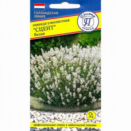 Сцент белая 5шт Ц(П)