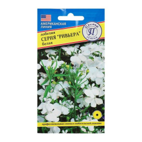 Ривьера Белая Ц(П)