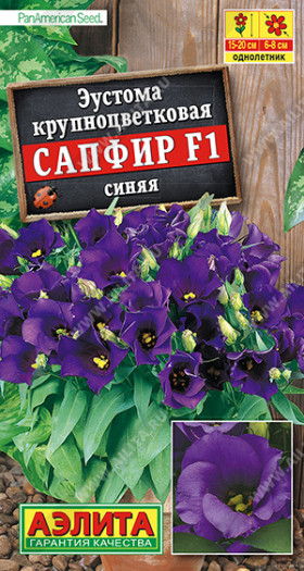 Сапфир синяя крупноцветковая Ц(А)