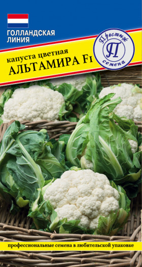 цветная Альтамира 7шт Ц(П)