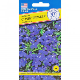 Ривьера Полночь Ц(П)