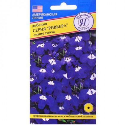 Ривьера Синие глаза Ц(П)