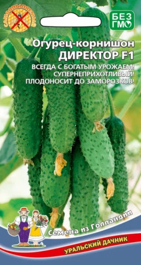 Директор Ц(УД)