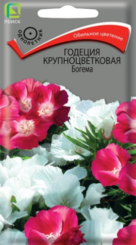 Богема Ц(Поиск)