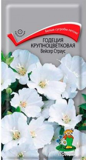 Вейсер Страус Ц(Поиск)