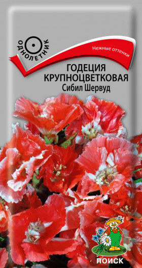 Сибил Шервуд Ц(Поиск)